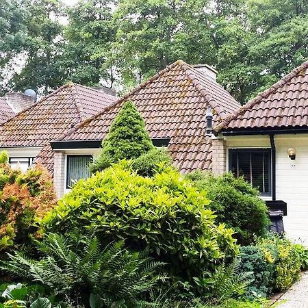 Ervaar Vredige Rust In Deze Charmante Knusse Bungalow Posterholt Екстериор снимка